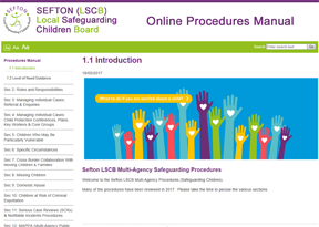 The Sefton Multi-Agency Safeguarding Online Procedures Manual
